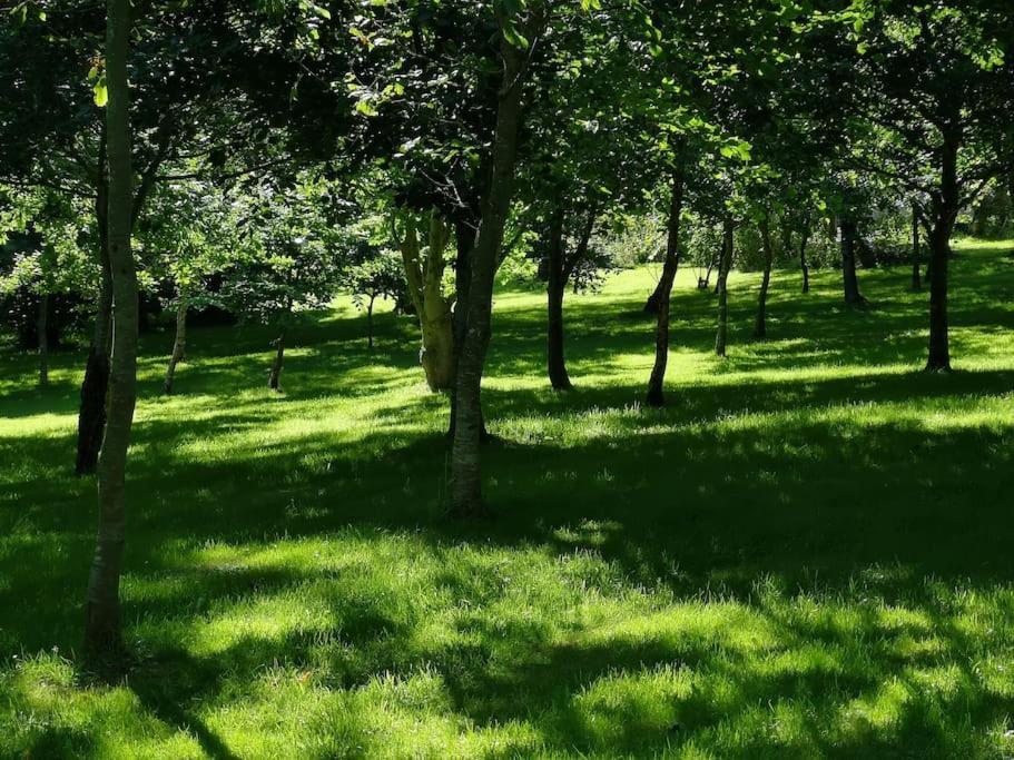 Red Squirrel Holiday Home In The Countryside, 10 Mins To Lligwy Beach Llandyfrydog 외부 사진